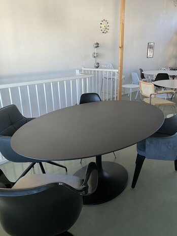 Aanbieding : Saarinen Tulip tafel 200x120cm